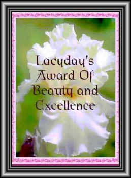LacyDays Award of Beauty and Excellence